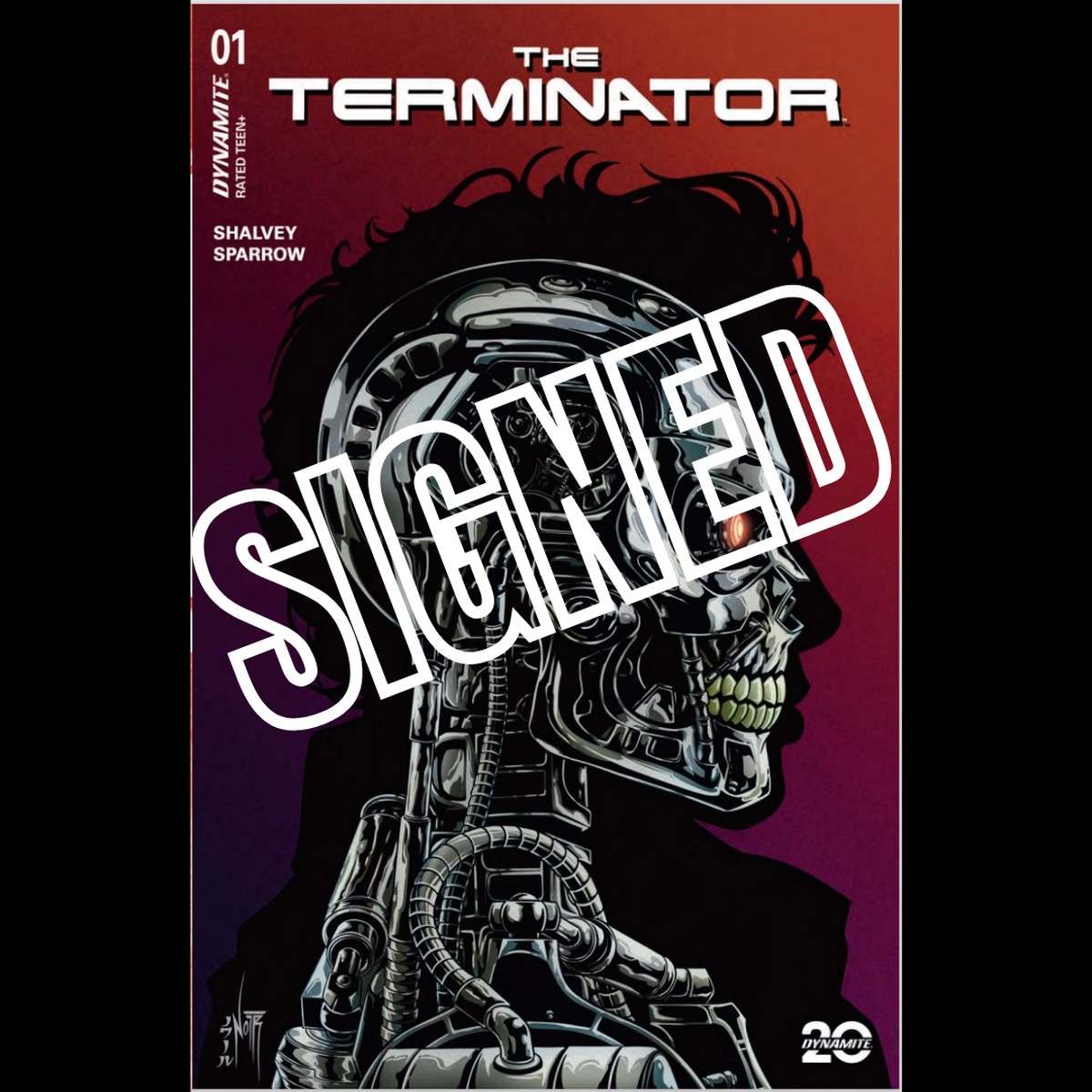 TERMINATOR #1 JORDAN NOIR METAL COLOR VARIANT, SIGNED W COA