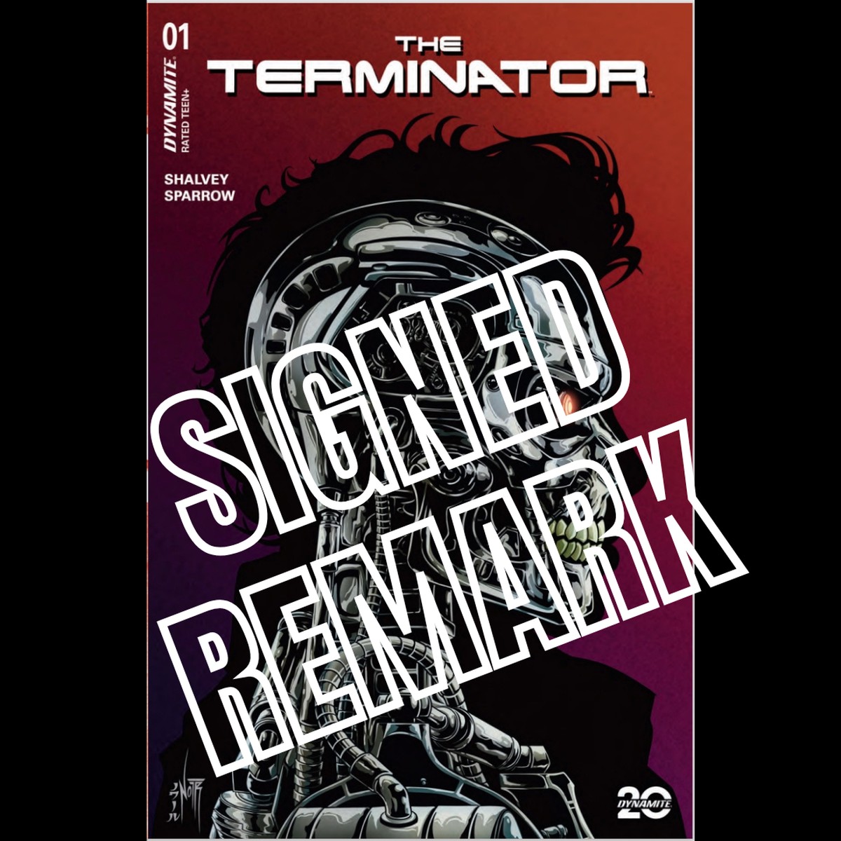 TERMINATOR #1 JORDAN NOIR METAL COLOR VARIANT, SIGNED W/REMARK