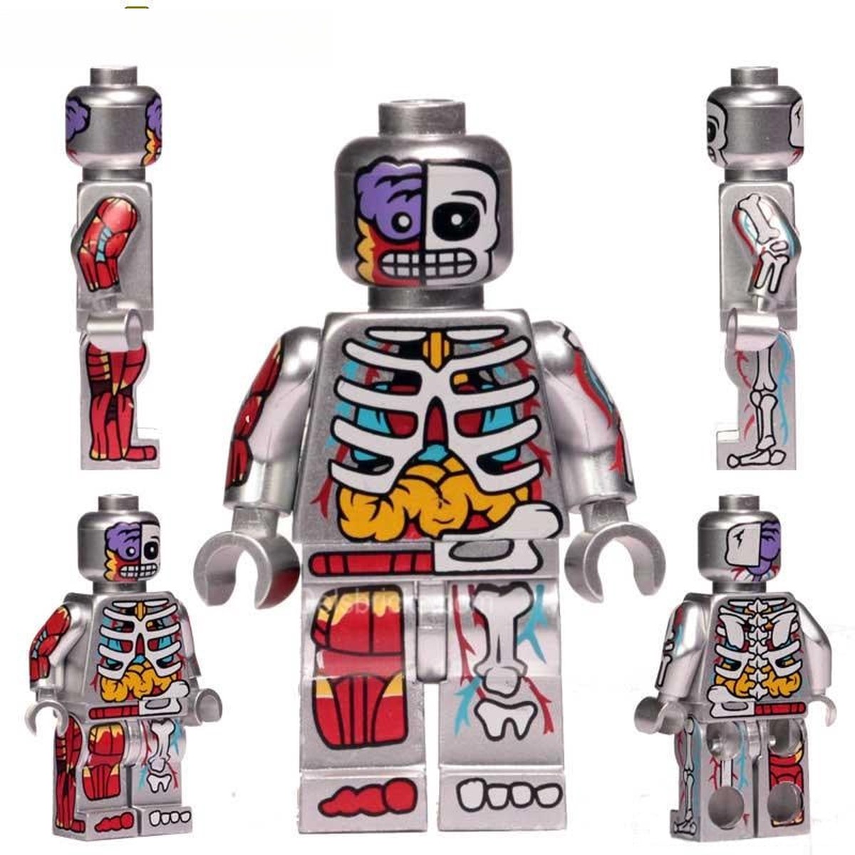 Human Body Guy Visible Anatomy Man Silver Color Minifigure Toy