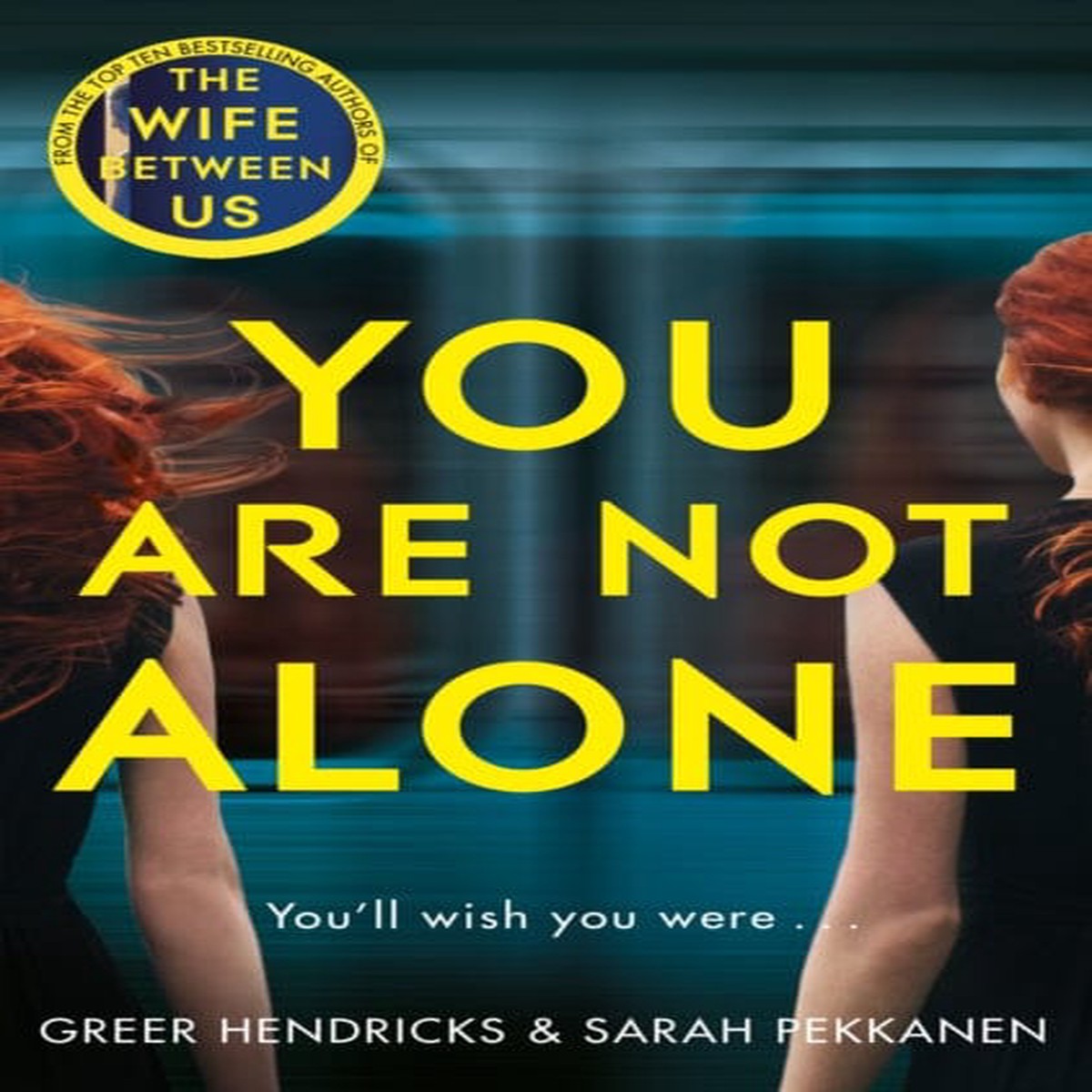 You Are Not Alone by Greer Hendricks
