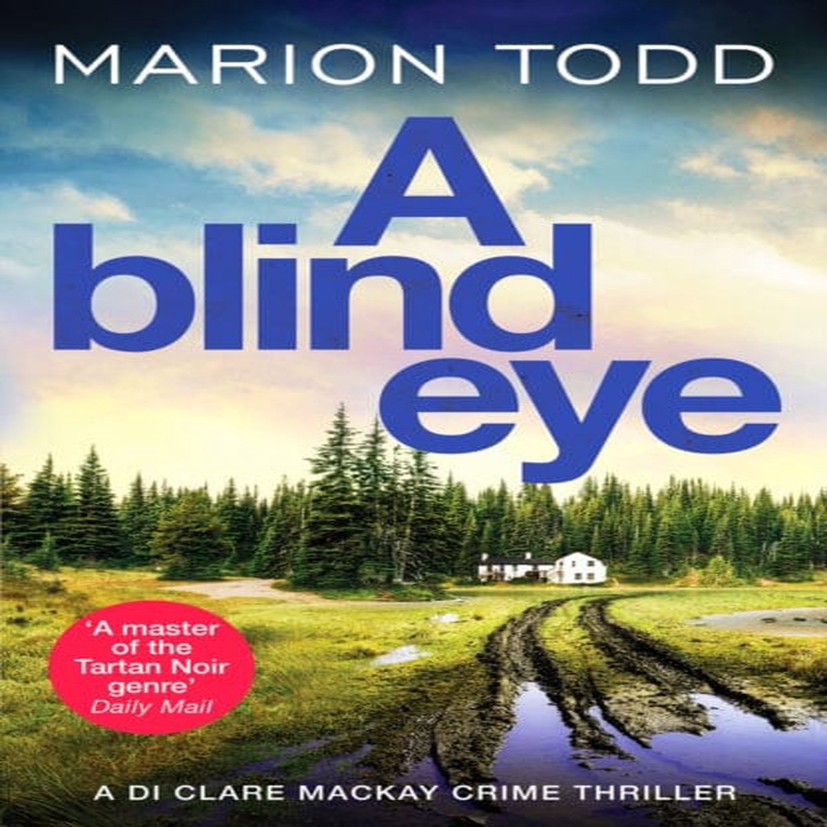 A Blind Eye : A twisty and gripping detective thriller by Marion Todd
