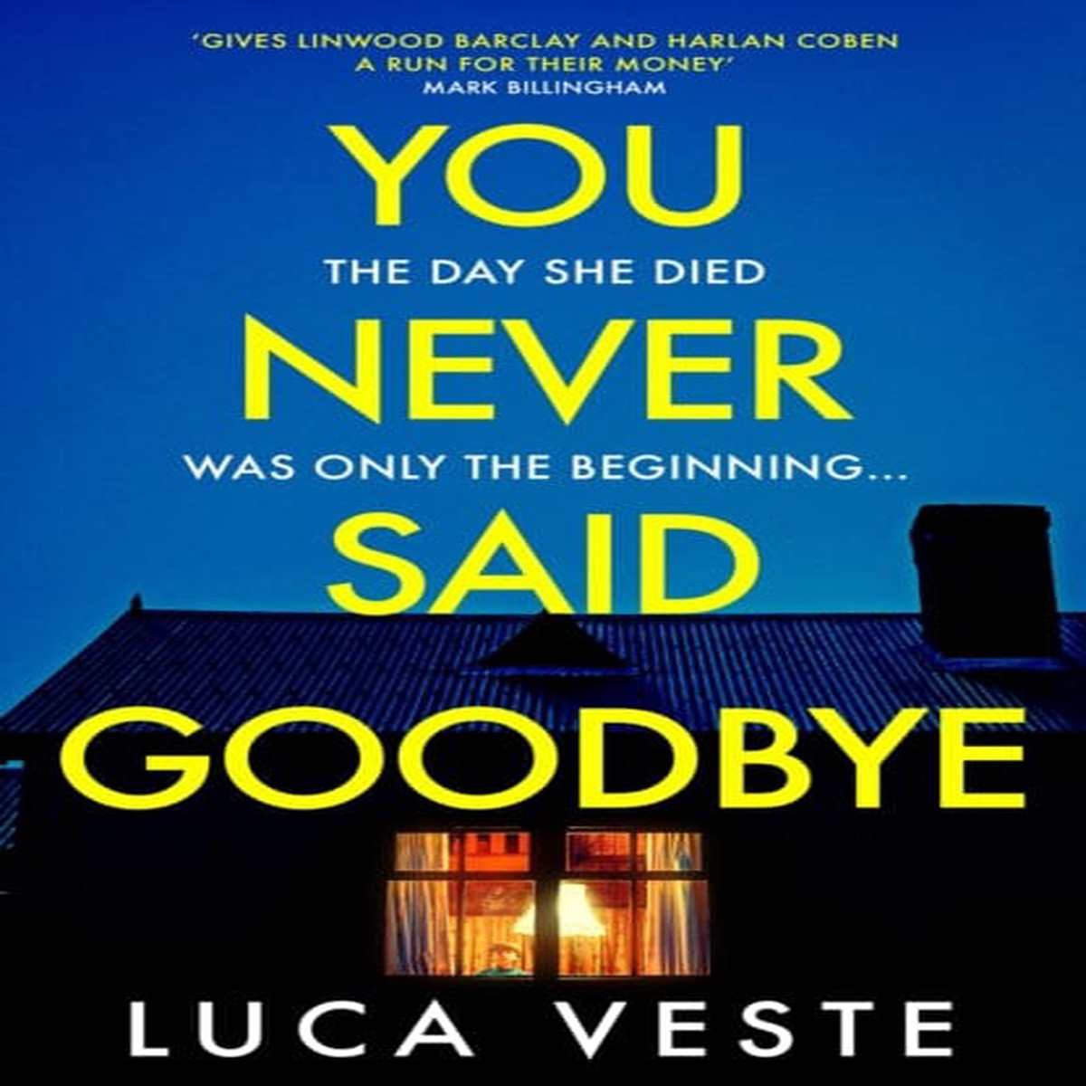 You Never Said Goodbye by Luca Veste