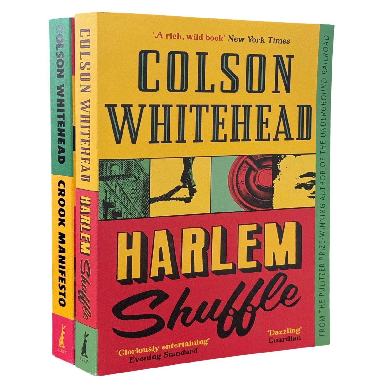 Damaged - Ray Carney Series By Colson Whitehead 2 Books Collection Set - Fiction - Paperback - I 23